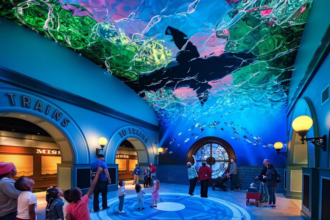 St. Louis Aquarium projection tunnel